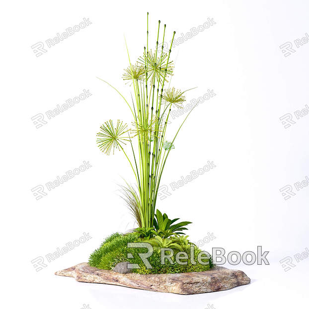 Modern plant decorations model