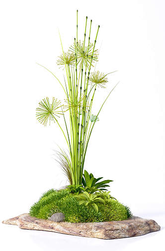 Modern plant decorations 3d model