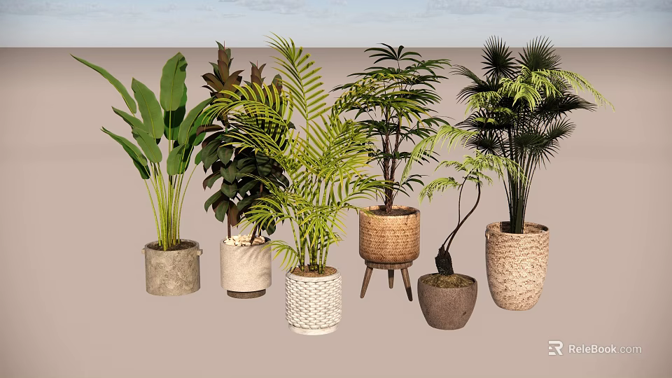 Indoor Potted Plants With Various Greenery And Decorative Ceramic Woven Pots 3d model 