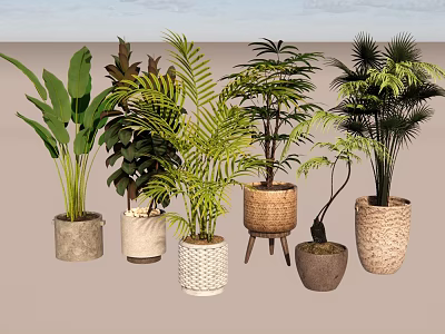 Indoor Potted Plants With Various Greenery And Decorative Ceramic Woven Pots 3d model
