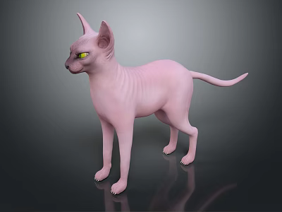 Pink Hairless Sphynx Cat With Yellow Eyes Standing On Black Surface And Reflection 3d model