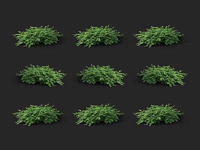 Lush Green Plants Arranged in Grid Pattern on Black Background for Decor 3d model