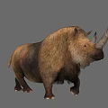 Shaggy Brown Prehistoric Rhinoceros With Large Curved Horn And Stocky Body