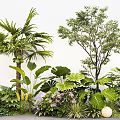 Tropical and Temperate Garden Plants With Green Foliage And Pink Blooms In Lush Setting