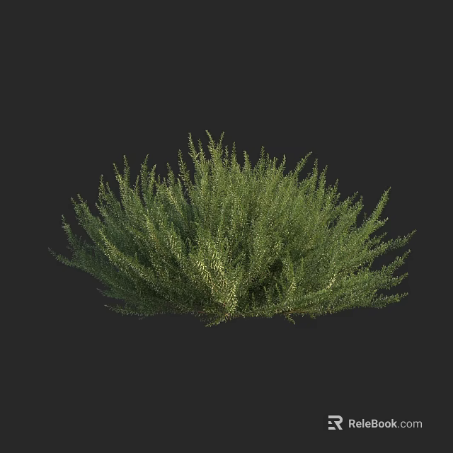 Green Shrub With Lush Dense Foliage Perfect For Garden Landscaping Design 3d model 