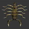 3D Rendered Scorpion with Brown Yellow Exoskeleton Curled Tail and Shiny Pincers