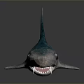 Cartoon Shark Character 3D Model With Blue Spots And Large Eyes Design