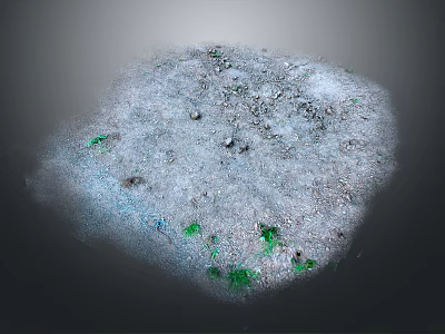 Grayish White Ground Surface With Green Spots Small Stones And Uneven Texture 3d model