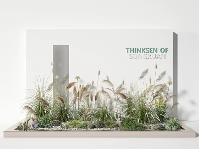 Miniature Garden Display With Various Grasses Small Pebbles And White Wall Backdrop 3d model