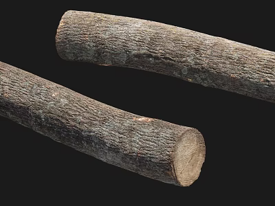 Rustic Stone Wood Logs Displaying Natural Textured Surface On Dark Background 3d model