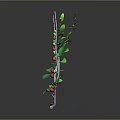 Stylish Decorative Branch With Green Leaves Red Berries And White Stem