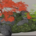 Vibrant Red Maple Tree with Green Trees Rocks and Grass in Natural Landscape
