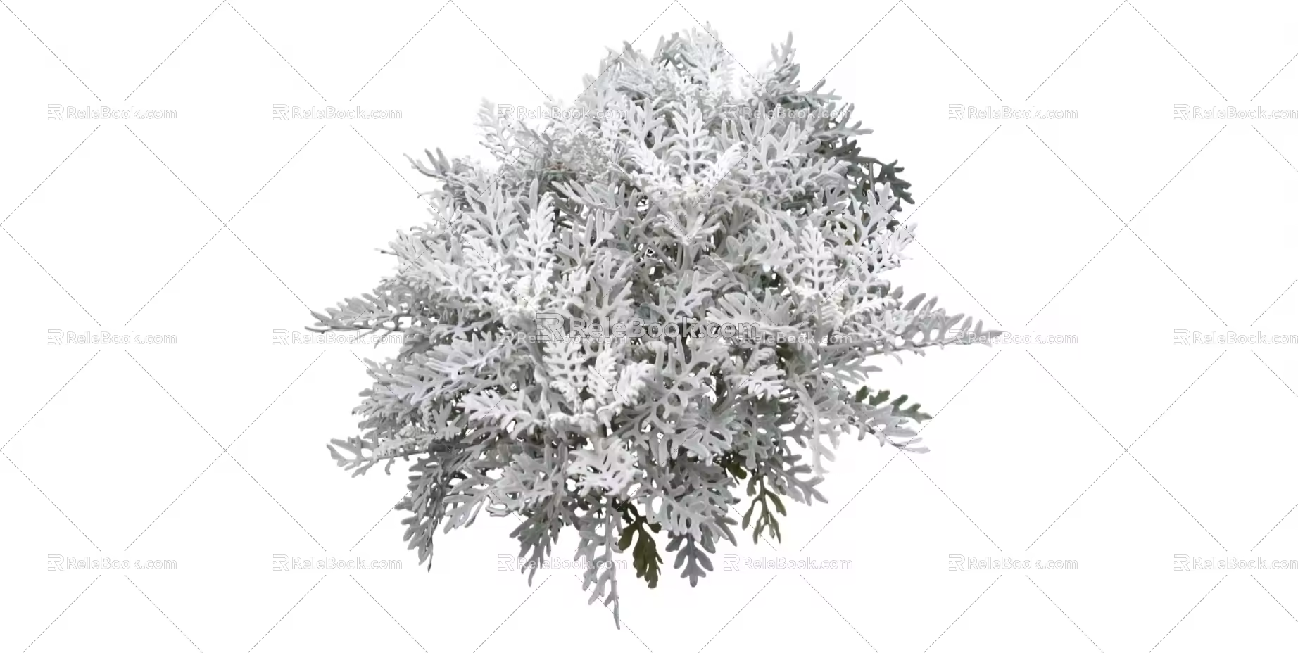 Modern Shrub Grass 3d model
