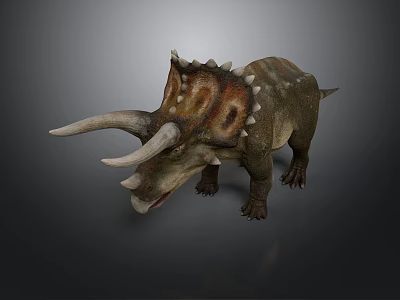 Realistic Triceratops Dinosaur Model With Large Horns Spiked Frill And Detailed Skin Texture 3d model