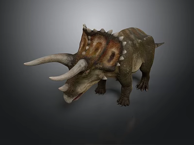 Triceratops Dinosaur Prehistoric Creatures Game Asset Science Restoration Dinosaur Jurassic Pterosaur 3d model