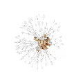 Elegant Modern Ceiling Light With Crystal Decorative Elements And Brass Base