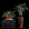 Elegant Decorative Ornament Set With Green Plants In Brown Pots And Black Base