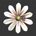 Beautiful Single Flower With White Petals Yellow Center And Small Insect On Black Background