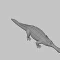 Realistic 3D Crocodile Model With Detailed Skin Texture And Lifelike Pose
