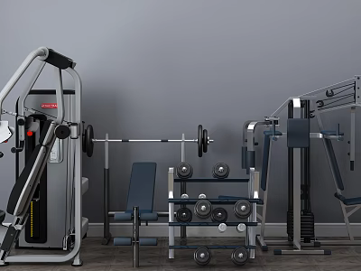 High Quality Sports Equipment For Gym Interior Including Training Machines Barbells And Dumbbell Racks 3d model