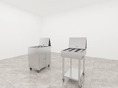 Stainless Steel Commercial Kitchen Equipment With Mobile Wheels And Storage Cabinets 3d model