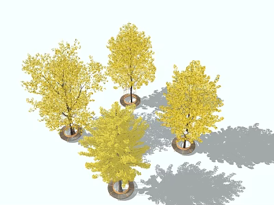 Four Yellow Leaf Arbor Trees in Garden Landscape with Round Base and Shadow Effect 3d model