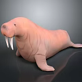 Pink Walrus With Long Ivory Tusks Smooth Skin And Lying On Reflective Surface