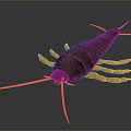 Household Pest Control Products for Silverfish With Long Antennae and Brown Body