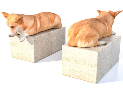 Welsh Corgi 3d model