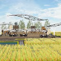 Rural Landscape with Golden Rice Fields White Modern Structure and Blue Sky