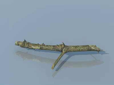 Ornaments scene 3d model Ornaments scene 3d model