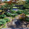 Tranquil Courtyard Garden With Stone Pathway Lush Greenery Autumn Trees And Flowing Stream