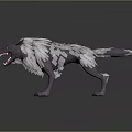 3D Wolf Model with Gray Fur Fierce Expression Open Mouth Sharp Teeth on Dark Ground 3d model