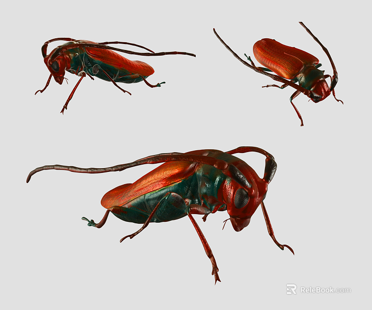 Detailed View of Three Red and Green Flying Beetles with Long Antennae and Wings 3d model 