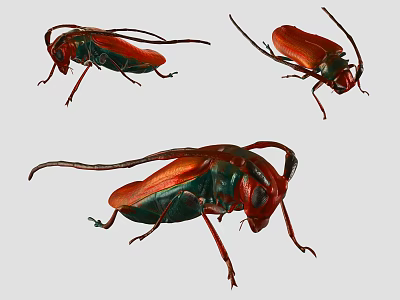 Detailed View of Three Red and Green Flying Beetles with Long Antennae and Wings 3d model