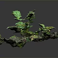 Detailed Miniature Natural Landscape Component With Lush Green Ferns And Mossy Covering
