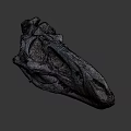 Detailed Dinosaur Skull Fossil With Anatomical Features And Prehistoric Structure
