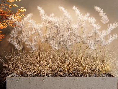 Ornamental Grasses In Concrete Planter With Golden And Silver Foliage 3d model
