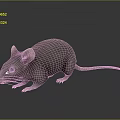Realistic Grey Mouse With Large Ears And Long Tail On Dark Reflective Surface 3d model