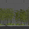 Lush Bamboo Plants Against Gray Wall With Small Plants Stones And Black Pebble Path