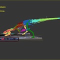 Modern skeleton dinosaur Jurassic pterosaur longnecked dinosaur 3d model