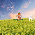 Yellow Rapeseed Flowers Field With Scarecrow Under Blue Sky And Sunset Clouds