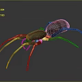 Detailed Reddish Brown Spider Featuring Yellow Striped Legs On Dark Background