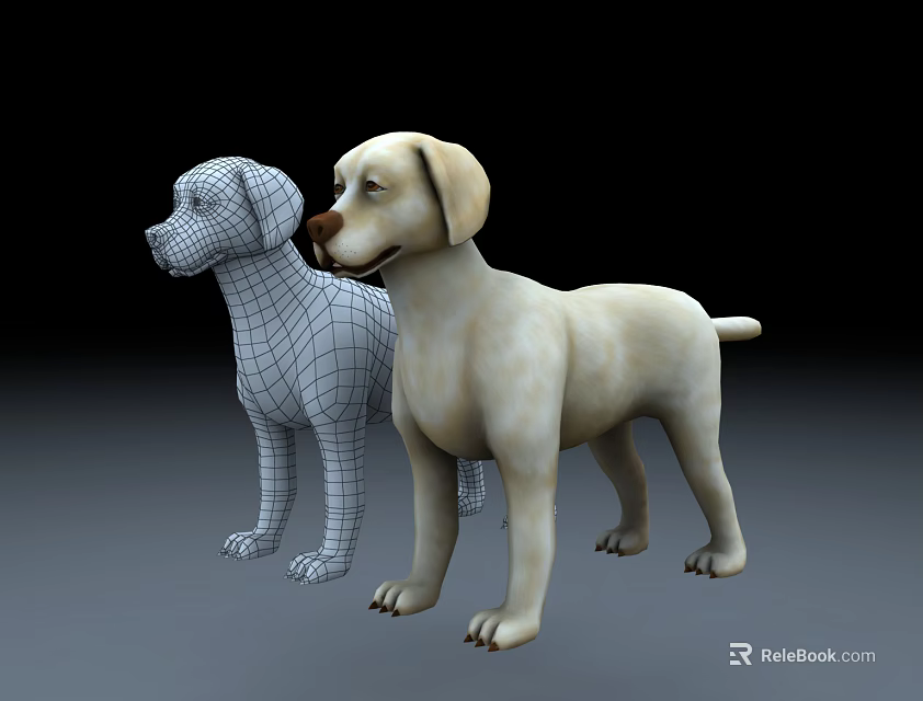Detailed Reptile 3D Models With Wireframe And Solid Textures On Dark Background 3d model