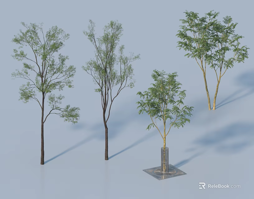 Various Arbor Trees With Different Trunk Styles Foliage and Square Planter 3d model