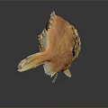 Vibrant Orange Fish With Unique Body Structure And Detailed Fins Isolated On Gray Background
