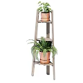 Bonsai Potted Plants On Wooden Ladder Shelf With Terra Cotta Pots And Ferns