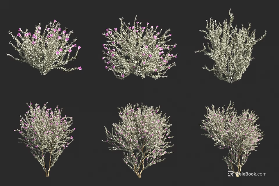 Various Types of Shrubs with Purple Flowers and Green Foliage in Different Shapes 3d model 
