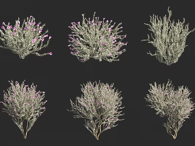Various Types of Shrubs with Purple Flowers and Green Foliage in Different Shapes 3d model