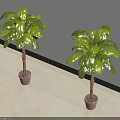 Green Potted Plants In Room Corner With Large Leaves Pink Pots White Walls Light Floor